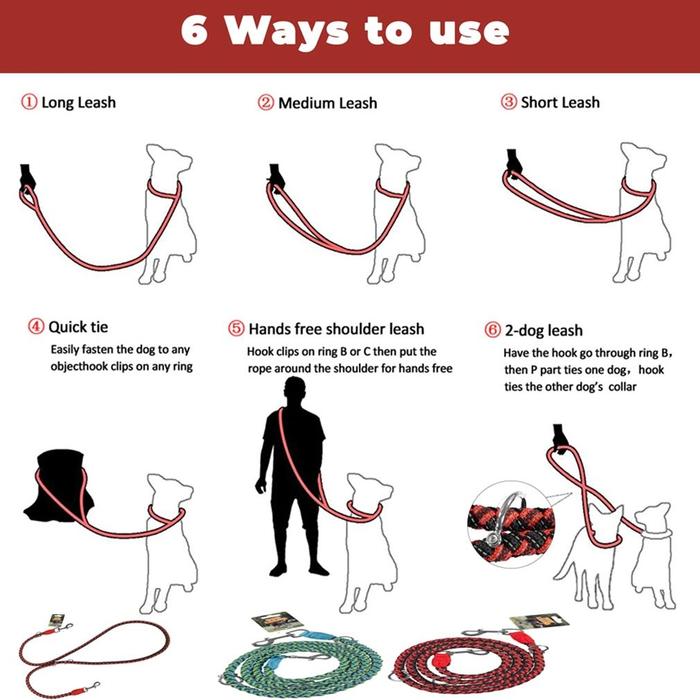 Adjustable and Stretchable Reflective Double Dog Leash