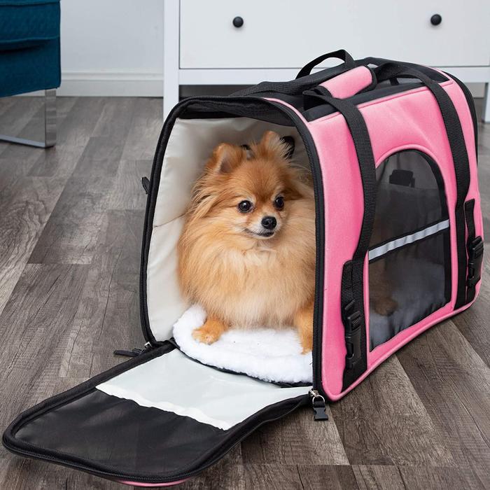 Paws & Pals Airline Approved Soft Sided Pet Carrier